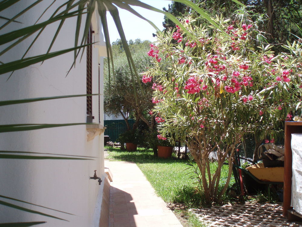 Apartamentos Osa Menor Cala D´Or Exteriér fotografie